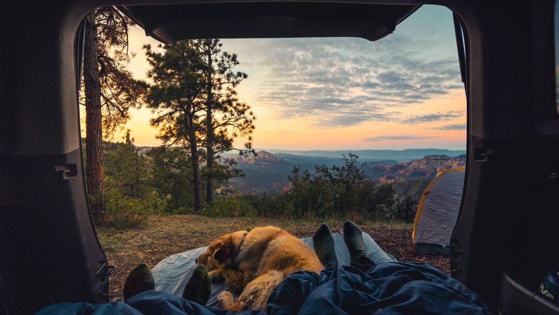 Two people and their dog camping in the back of their SUV