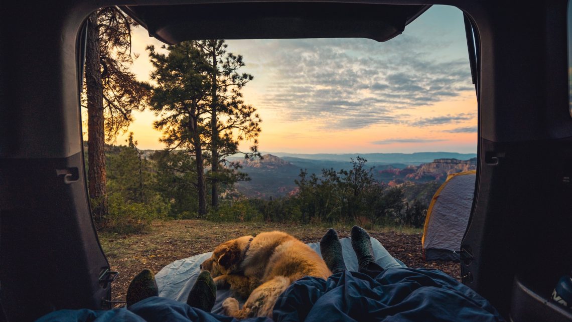 camping Two people and their dog camping in the back of their SUV